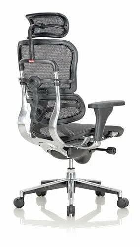 Ergonomic mesh chair